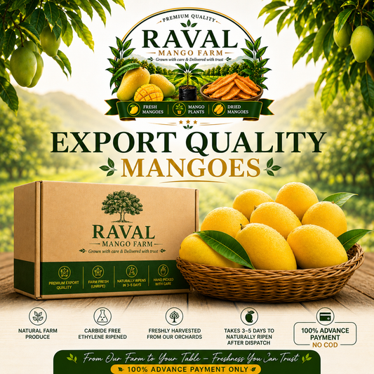 AZEEM CHAUNSA (RATTA) FRESH MANGO BOX