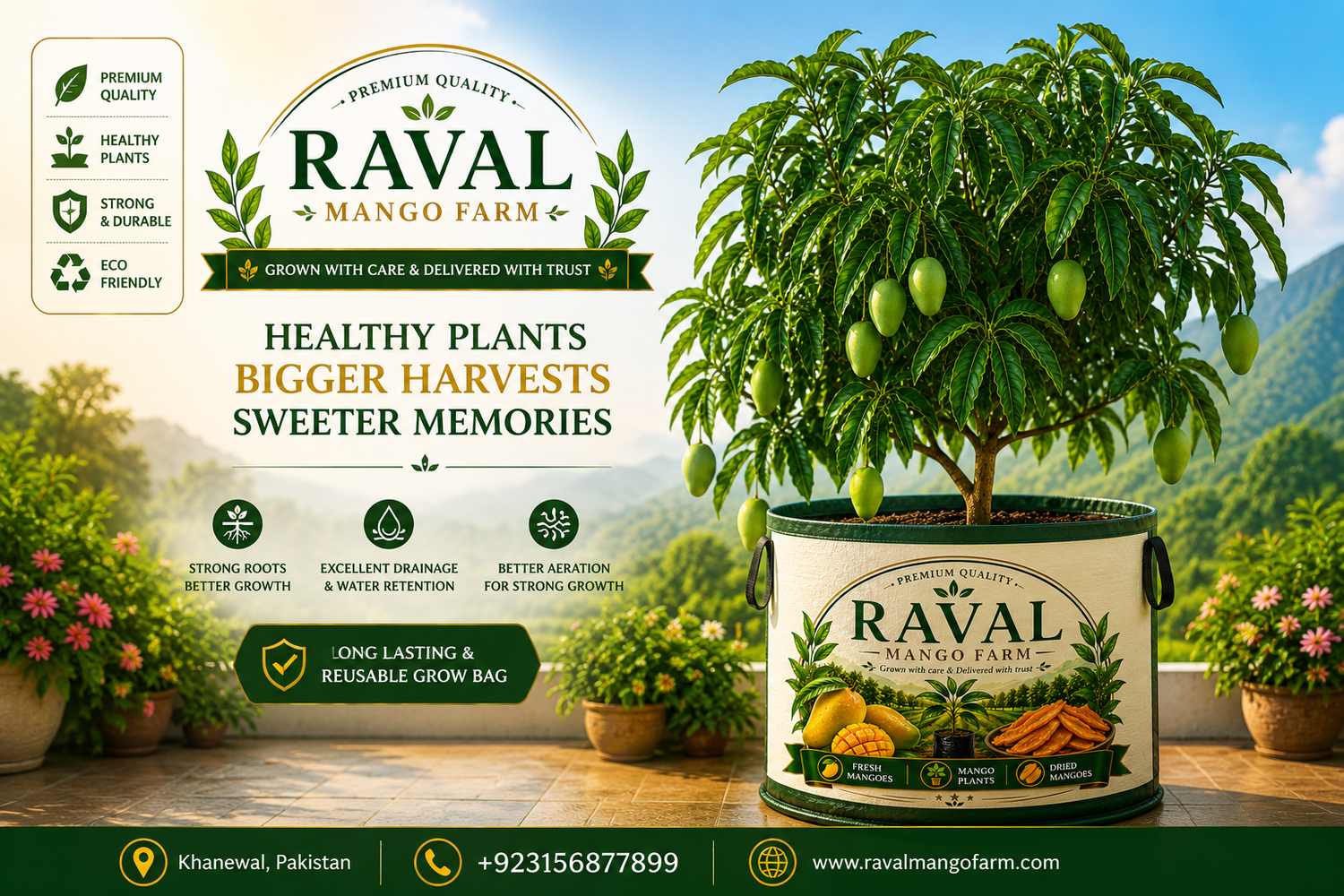 Mango Plants