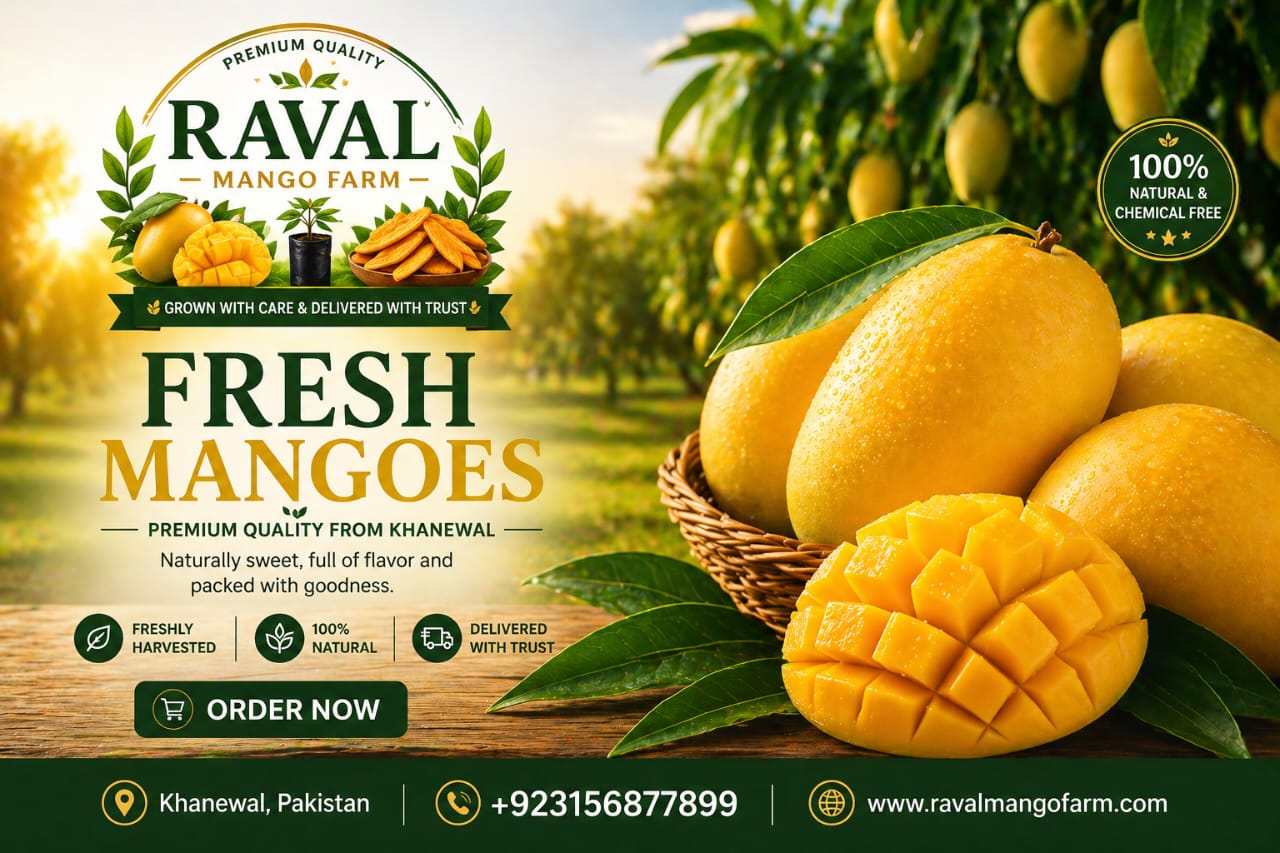 Fresh Mangoes