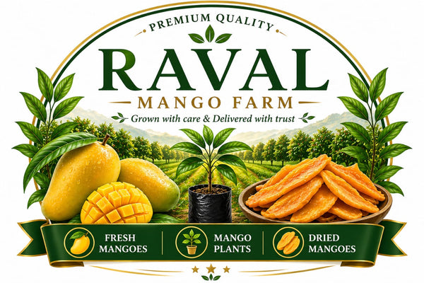 Raval Mango Farm