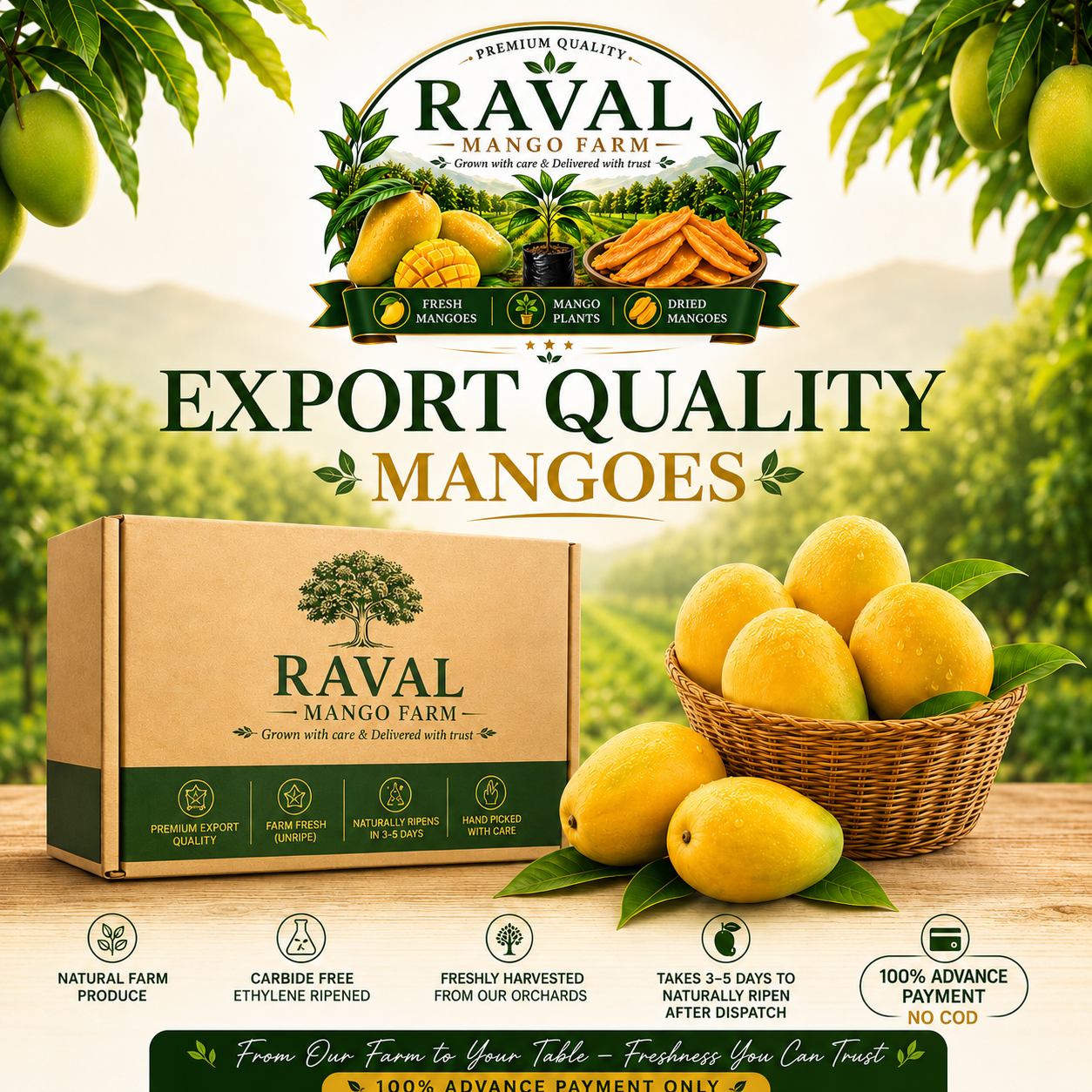 Anwar Ratol Fresh Mango Box